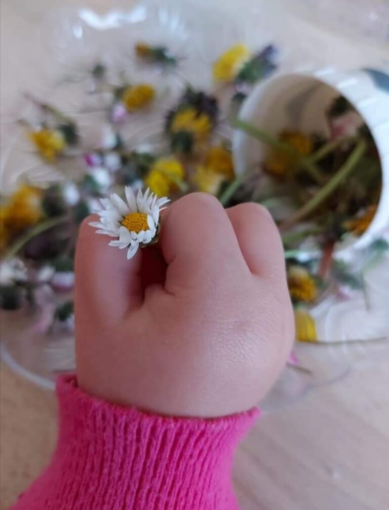 servizi-educativi-nido-birichini-6